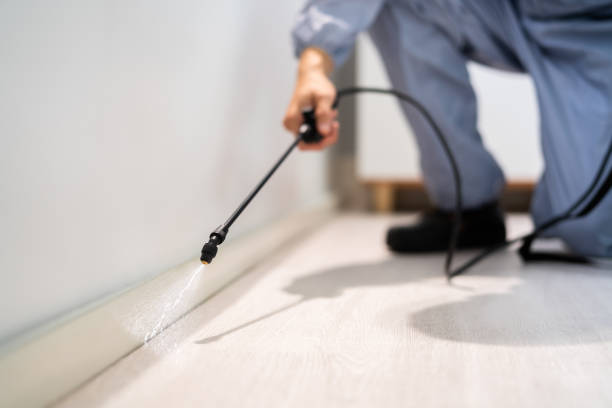Licensed Cockroach Control service in Stevenson, AL - Nex Pest Control