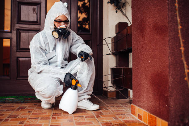 Reliable Cockroach Control contractor in Stevenson, AL by Nex Pest Control